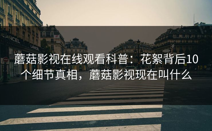 蘑菇影视在线观看科普：花絮背后10个细节真相，蘑菇影视现在叫什么