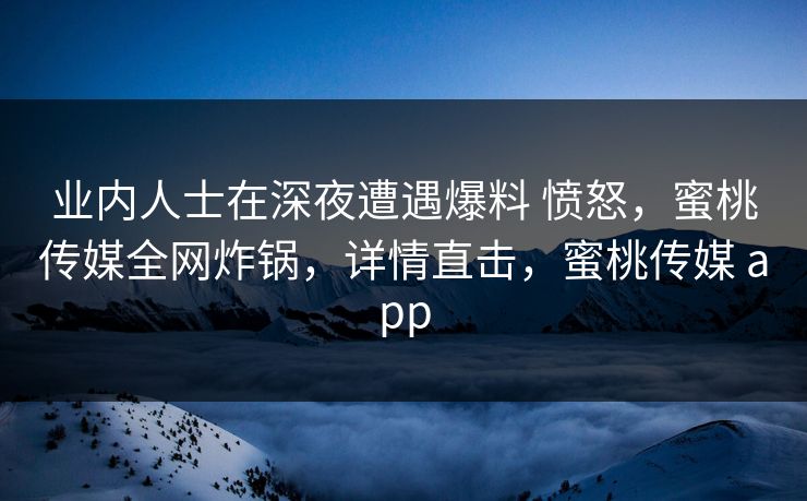 业内人士在深夜遭遇爆料 愤怒，蜜桃传媒全网炸锅，详情直击，蜜桃传媒 app