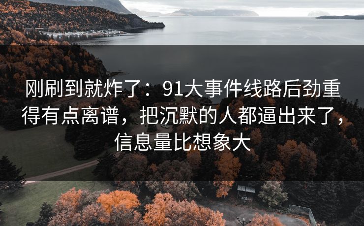 刚刷到就炸了：91大事件线路后劲重得有点离谱，把沉默的人都逼出来了，信息量比想象大